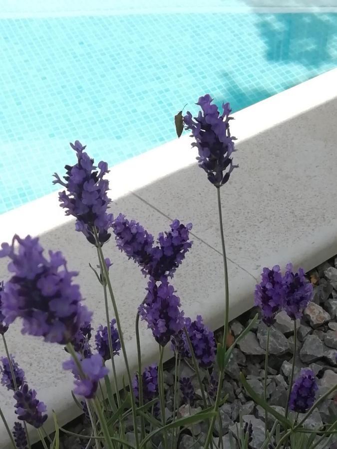 Vila Martina - Bellevue Šmrika Dış mekan fotoğraf